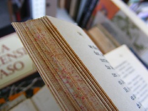 biblioteca 134 copy.jpg